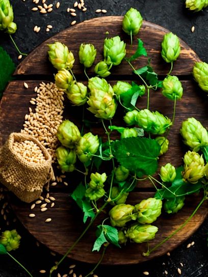Hop "Pure" container (C2)